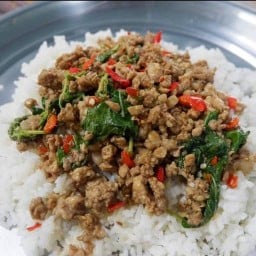 จานเดียวเจ๊ง อาหารตามสั่ง  ประชาสงเคราะห์ 28
