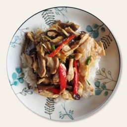 ผัดขิงไก่