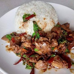 กะเพราเครื่องในไก่+ข้าวสวย