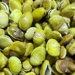 แปหล่อคั่วเกลือ100g.