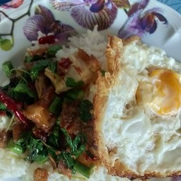 กะเพราหมูกรอบ
