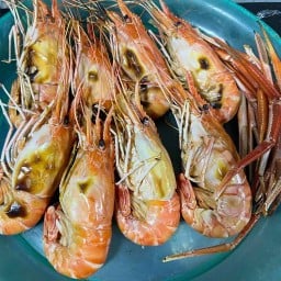 กุ้งเผา พานทอง
