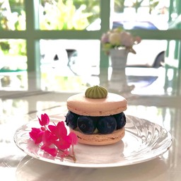 Tooday Cafe' สุราษฎร์ธานี