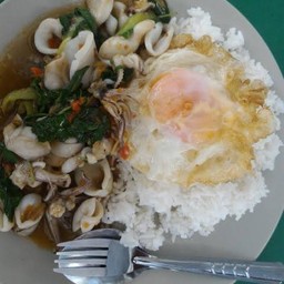 ข้าวกระเพราปลาหมึก basil squid with rice