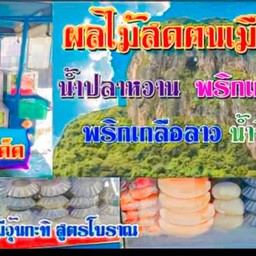 ผลไม้สดตนเมืองลุง @เซเว่นเทศบาล
