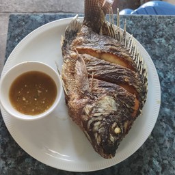 ปลานิลทอดพร้อมน้ำจิ้มวันนี้ปลาตัวใหญ่ค่ะ