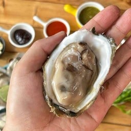 อยากโดนหอย (หอยนางรมสด จากสุราษฎร์ธานี)