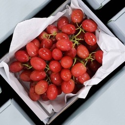 องุ่นไร้เม็ด