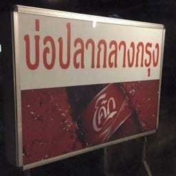 ร้านอาหารบ่อปลากลางกรุง