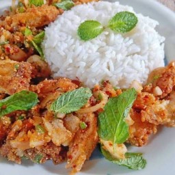 ข้าวเหนียวหน้าหมูByนานา