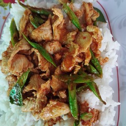 ข้าวพริกแกงไก่