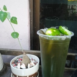 ป้าแจ้ ก๋วยเตี๋ยววังชะโอน(เจ้าเก่า)