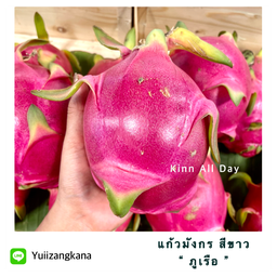 แก้วมังกร ภูเรือ เนื้อสีขาว