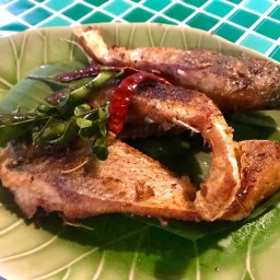 ลาบปลาเพี้ยหางดง สันผักหวาน