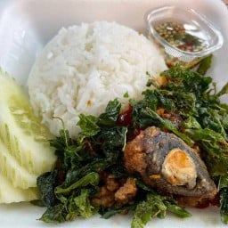 ร้านอัญชัน อาหารตามสั่ง ส้มตำ ยำแซ่บ