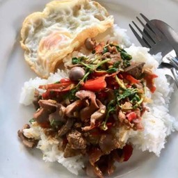 ผัดกระเพราเครื่องในไก่ไข่ดาว