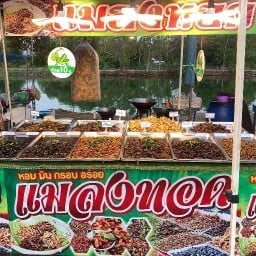 แมลงทอด