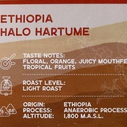 Ethiopia halo
