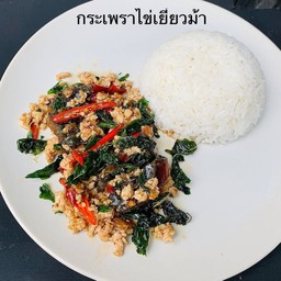 กระเพรา ไข่เยี่ยวม้า