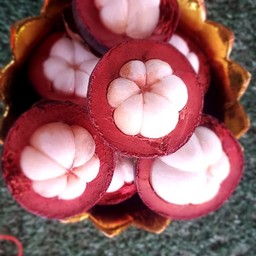 น้องปริ๊นซ์ผลไม้