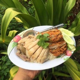 ข้าวมันไก่ผสม