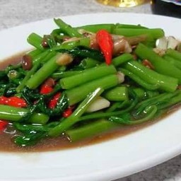 ผักบุ้งไฟแดง