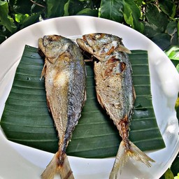 ข้าวพร้อมปลาทูทอด1ตัว