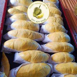 ทุเรียนเลิฟเวอร์