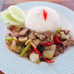 เก้งผัดน้ำมันหอยราดข้าว