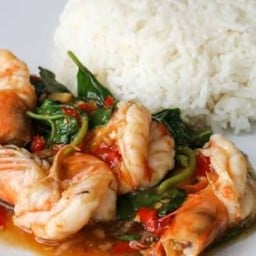 ข้าวราดกระเพรากุ้ง