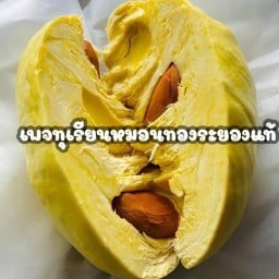 ทุเรียนหมอนทองระยองแท้-รามอินทรา
