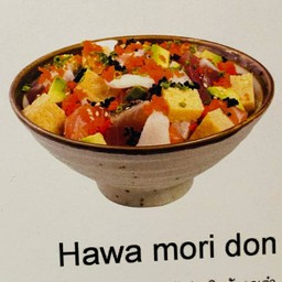 Hawa Mori Don 320