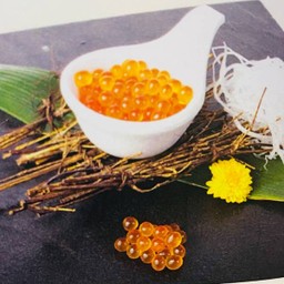  Ikura Sa 