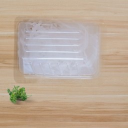 ไชเท้าฝอย