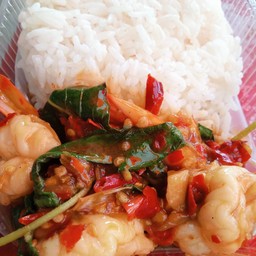 ข้าวกระเพราแซ่บกุ้ง