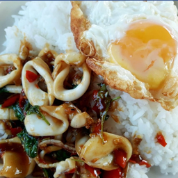 ข้าวกะเพราปลาหมึก+ไข่ดาว