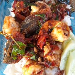 กะเพราทะเล(ธรรมดา)