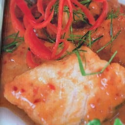 ปลาคังฉู่ฉี่