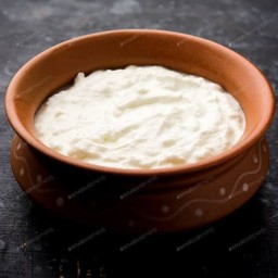 Plain Dahi