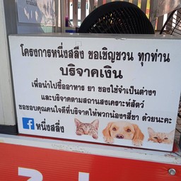 ช่วยน้องๆสี่ขา