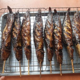 ปลาดุกย่าง