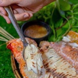 โชคคอฟฟี่ กาแฟสด  ต้นงิ้ว ซอย 8