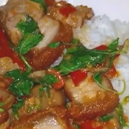 กะเพราหมูกรอบ