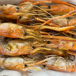 กุ้งเผาไซร้ XL 1kg