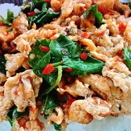 กะเพราไข่เจียว