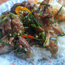 ข้าวกะเพราใบมะกรูด ( เนื้อตุ๋น )