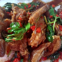 กะเพราเนื้อตุ๋นจาน