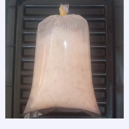 ข้าวเปล่า