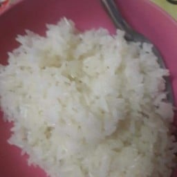 ข้าวเปล่า