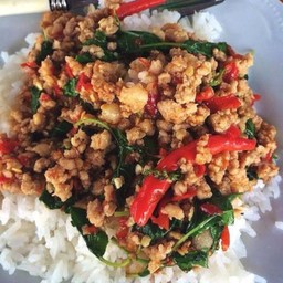 กระเพราหมูสับราดข้าว